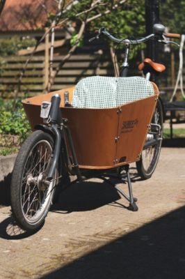 Cargo & longtail bike