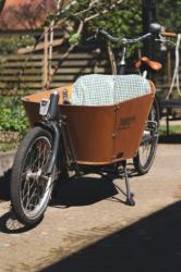 Cargo & longtail bike